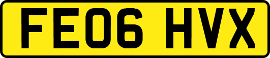 FE06HVX
