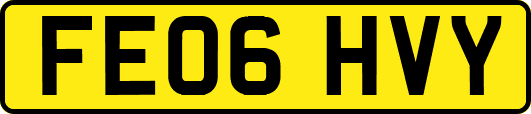 FE06HVY
