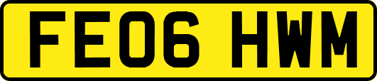 FE06HWM
