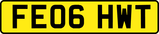 FE06HWT