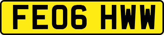 FE06HWW