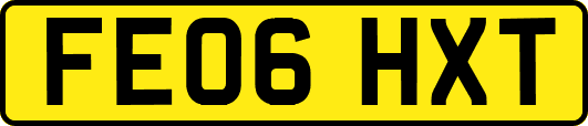 FE06HXT