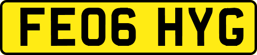 FE06HYG