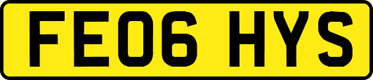 FE06HYS