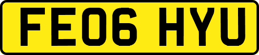 FE06HYU