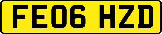 FE06HZD