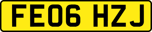 FE06HZJ
