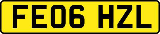 FE06HZL