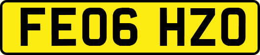 FE06HZO