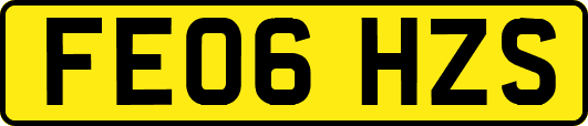 FE06HZS