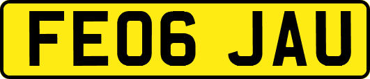 FE06JAU