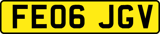 FE06JGV