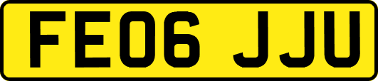 FE06JJU