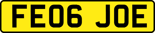 FE06JOE