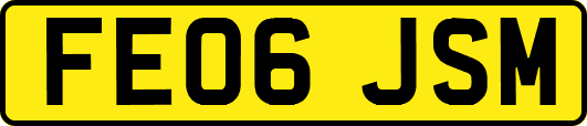 FE06JSM