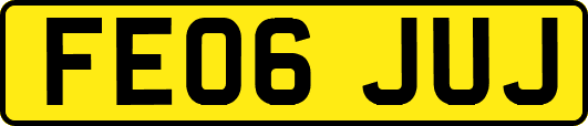FE06JUJ