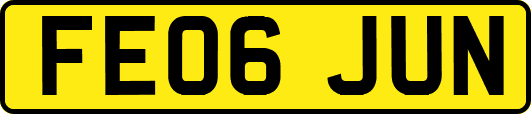FE06JUN