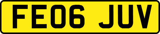 FE06JUV