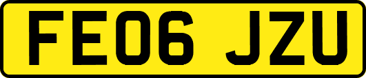 FE06JZU