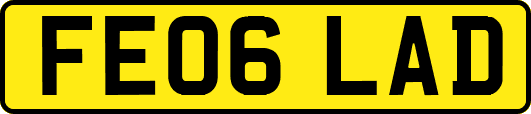FE06LAD