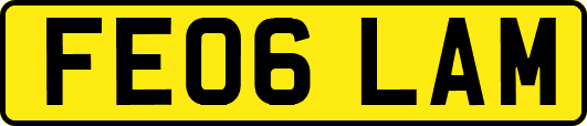 FE06LAM