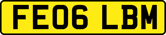 FE06LBM