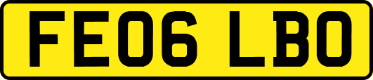 FE06LBO