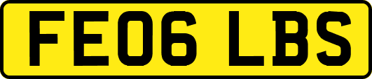 FE06LBS