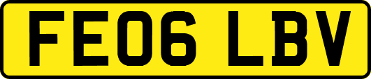 FE06LBV