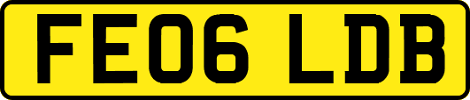 FE06LDB