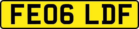 FE06LDF