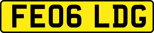 FE06LDG