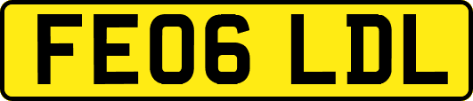 FE06LDL