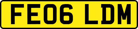 FE06LDM