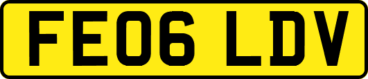 FE06LDV