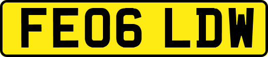 FE06LDW