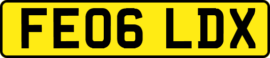 FE06LDX