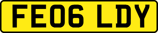 FE06LDY