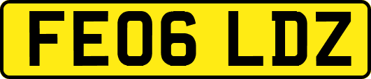 FE06LDZ