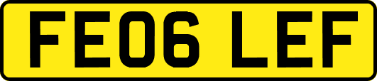 FE06LEF