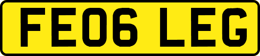 FE06LEG