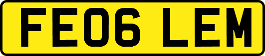 FE06LEM
