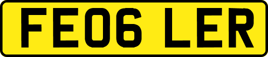 FE06LER