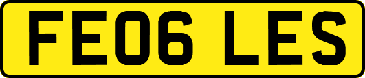 FE06LES