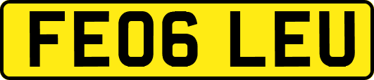 FE06LEU