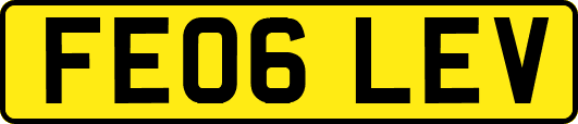 FE06LEV
