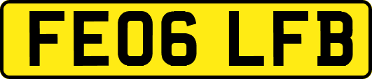FE06LFB