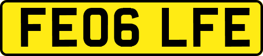FE06LFE