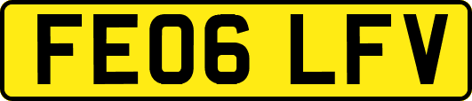 FE06LFV