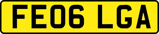 FE06LGA
